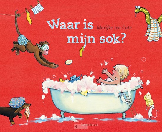 Waar is mijn sok?
